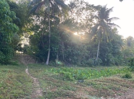 ขายที่ดิน-จำนวน28-ไร่-ที่ดินอยู่ฝั่งตรงข้ามโรงแรมปาล์มอิน-ต้นแซะ-โคกกลอย