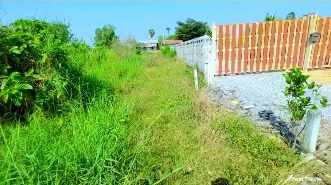 ด่วน-ราคาถูกที่สุดในบึงบ้านโพธิ์-แปลงเล็กๆราคานี้ไม่มีแล้ว