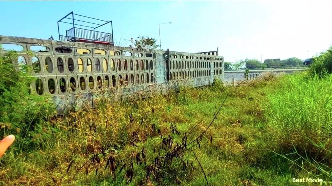 ด่วน-ราคาถูกที่สุดในบึงบ้านโพธิ์-แปลงเล็กๆราคานี้ไม่มีแล้ว