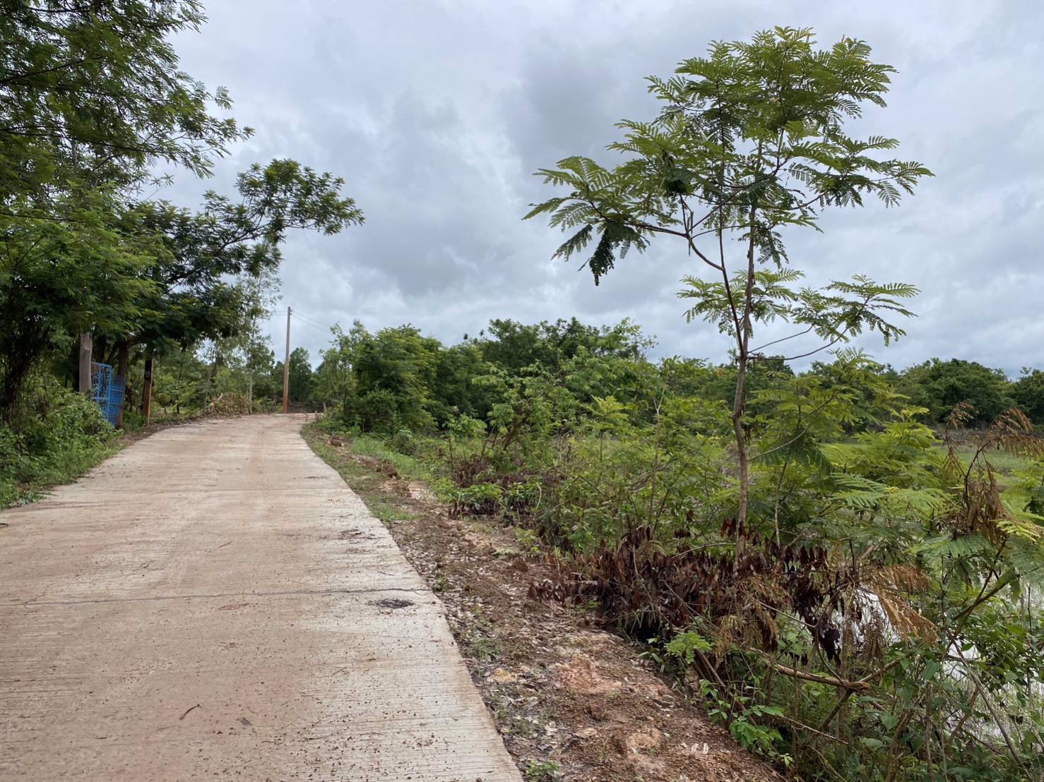 ขายที่ดินเนื้อที่-5-ไร่-3-งาน