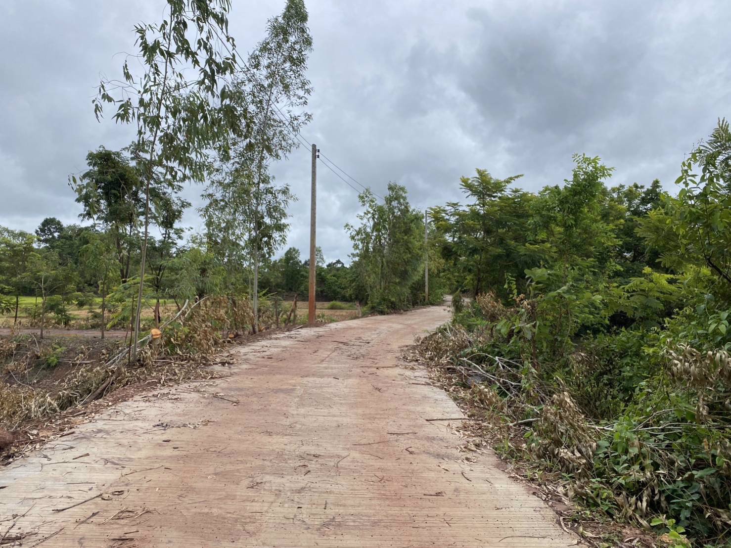 ขายที่ดินเนื้อที่-5-ไร่-3-งาน