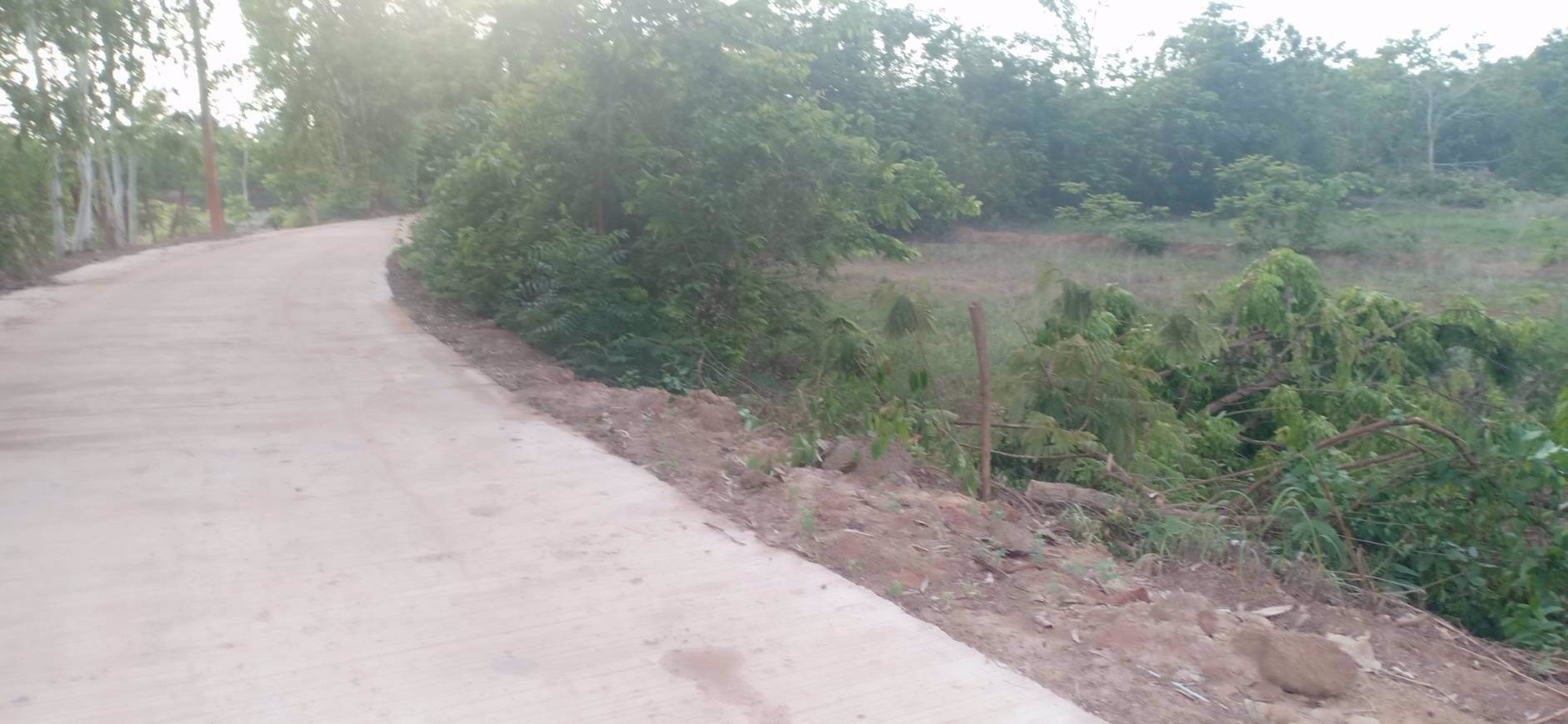 ขายที่ดินเนื้อที่-5-ไร่-3-งาน