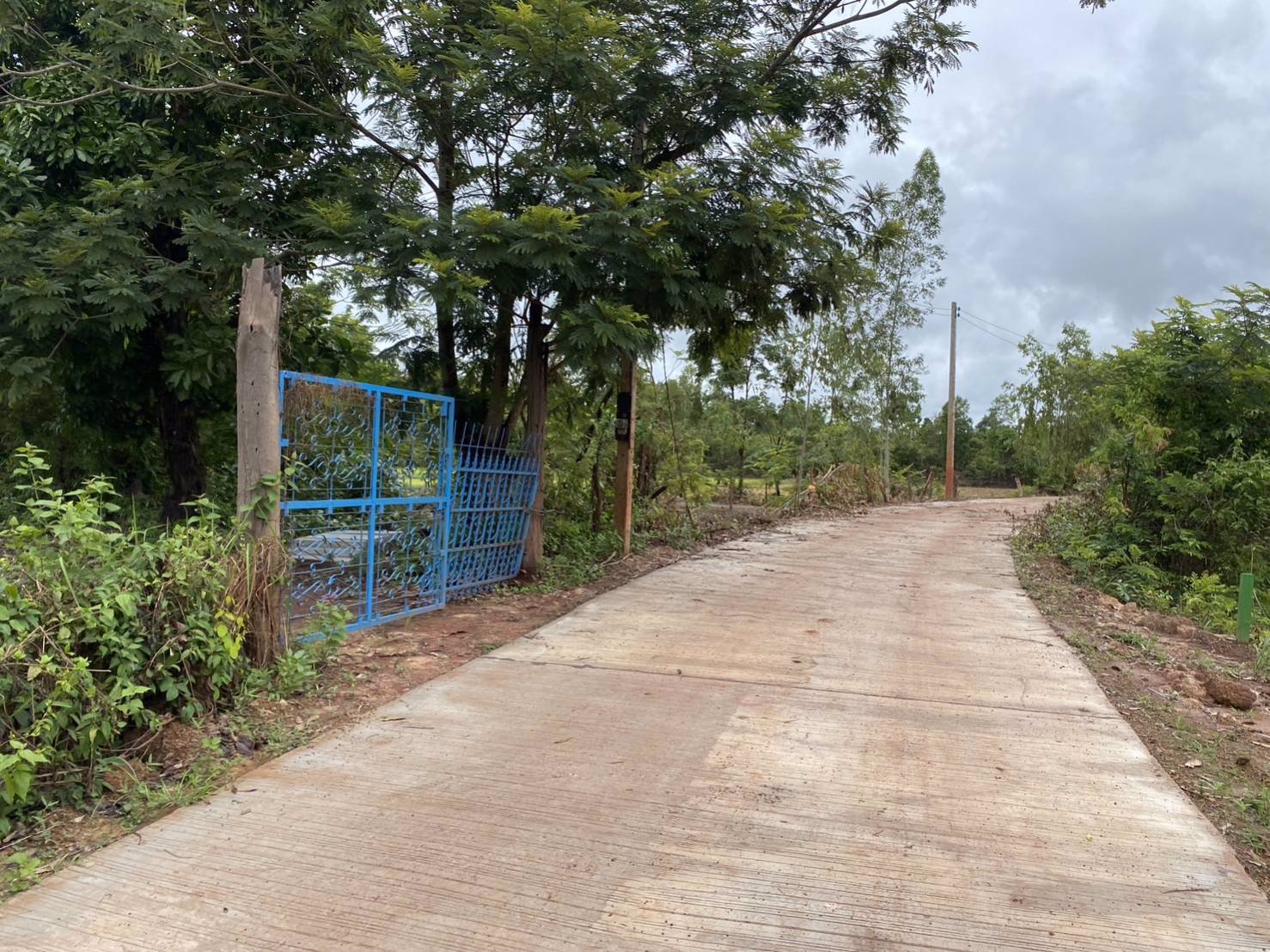 ขายที่ดินเนื้อที่-5-ไร่-3-งาน