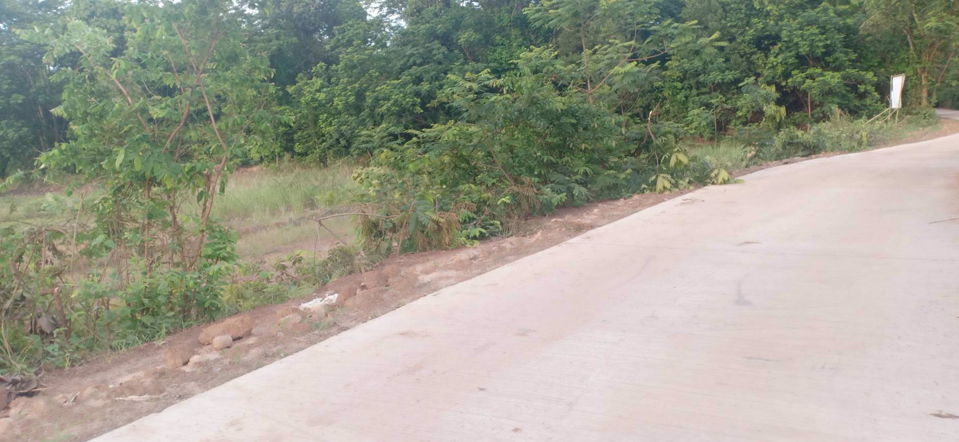 ขายที่ดินเนื้อที่-5-ไร่-3-งาน