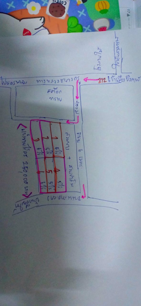 ขายที่สวน-4ไร่-ราคาไร่ละ250000บาท