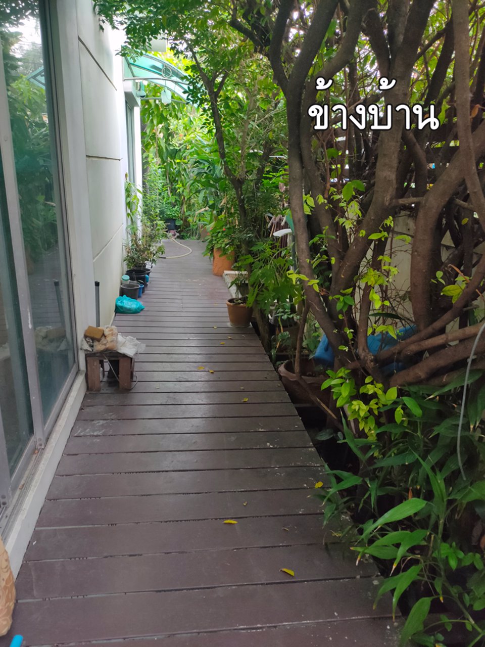 ขายบ้านราคาถูก-ต่ำกว่าทุน-vista-avenue-เพชรเกษม-81-โครงการ-sc-asset-