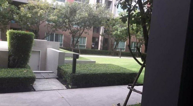 ae0173-ปล่อยเช่าคอนโดdcondo-campus-resort-bangna-ห้องใหม่สะอาด-พร้อมอยู่