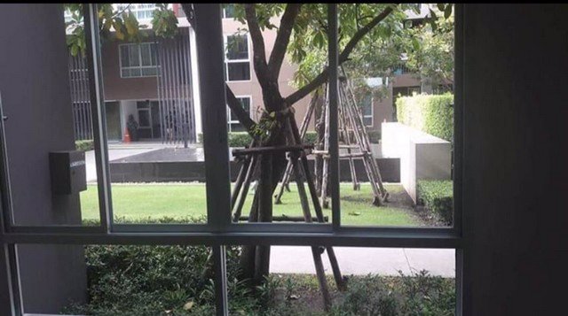 ae0173-ปล่อยเช่าคอนโดdcondo-campus-resort-bangna-ห้องใหม่สะอาด-พร้อมอยู่