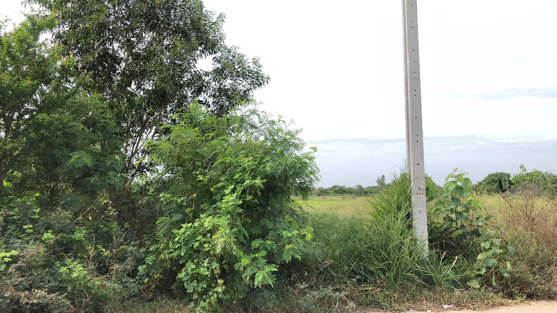 ขายที่ดินเปล่าถมแล้ว-ตราษฎร์นิยม-อไทรน้อย-จนนทบุรี