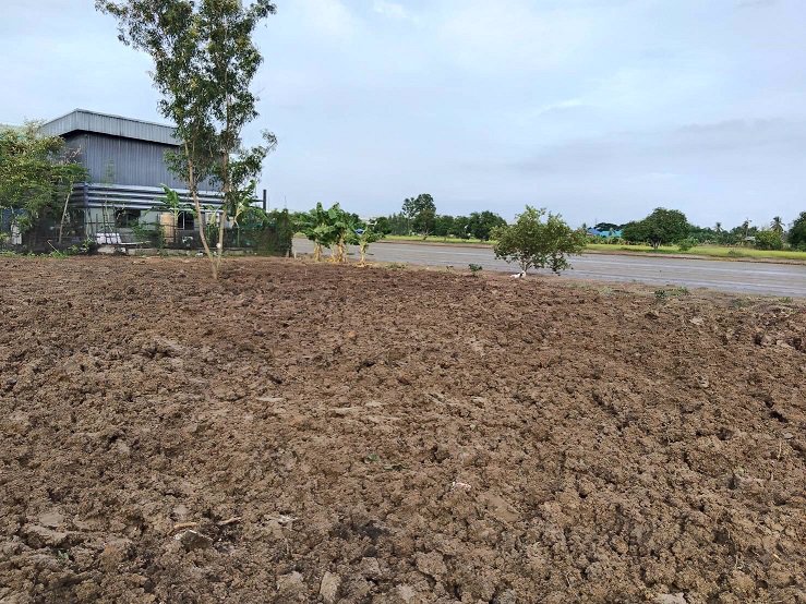 ขายขาดทุน-ที่ดินสำหรับทำโรงงานโกดัง