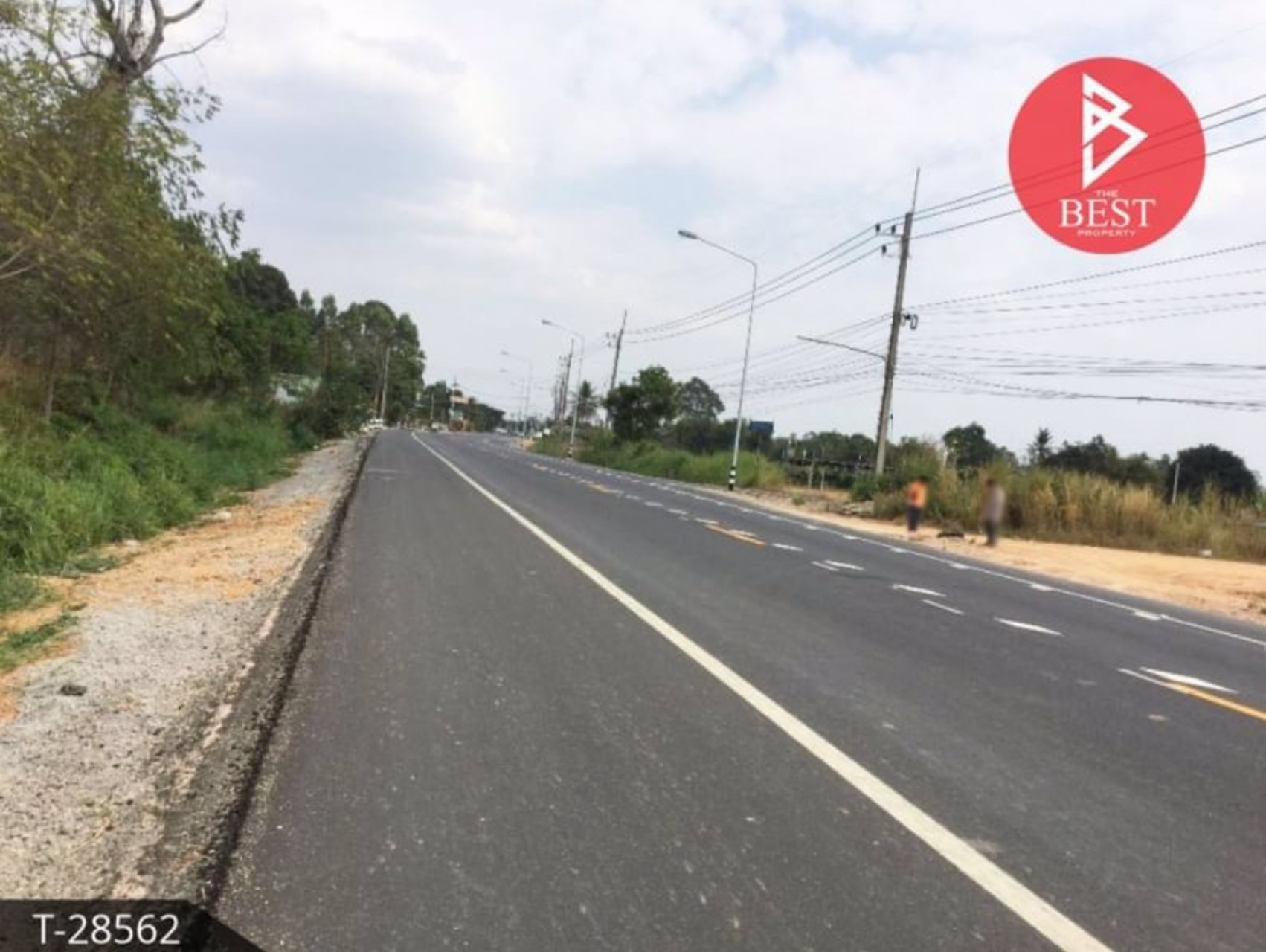 ขายที่ดิน-เนื้อที่-4-ไร่-2-งาน-พนัสนิคม-ชลบุรี