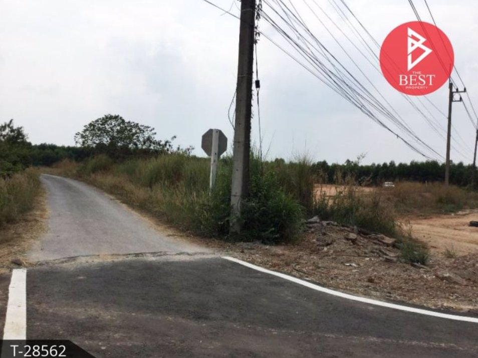 ขายที่ดิน-เนื้อที่-4-ไร่-2-งาน-พนัสนิคม-ชลบุรี