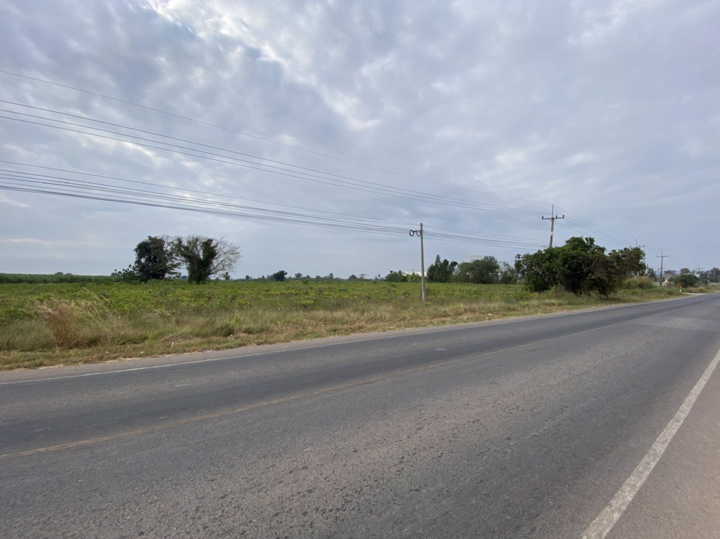 ขายที่ดิน-47ไร่-82-ตารางวา-วัดจริงเกือบ-50ไร่-ติดถนนลาดยาง157เมตร-ไฟฟ้าสามเฟสผ่าน-การคมนาคมสะดวก