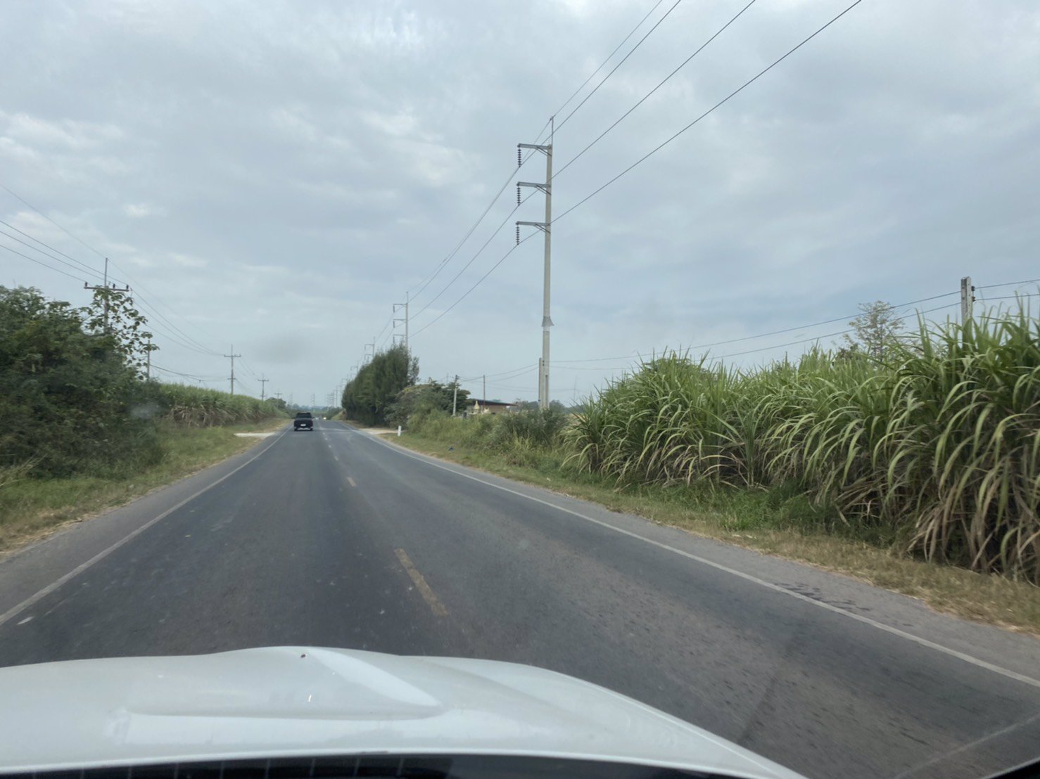 ขายที่ดิน-47ไร่-82-ตารางวา-วัดจริงเกือบ-50ไร่-ติดถนนลาดยาง157เมตร-ไฟฟ้าสามเฟสผ่าน-การคมนาคมสะดวก