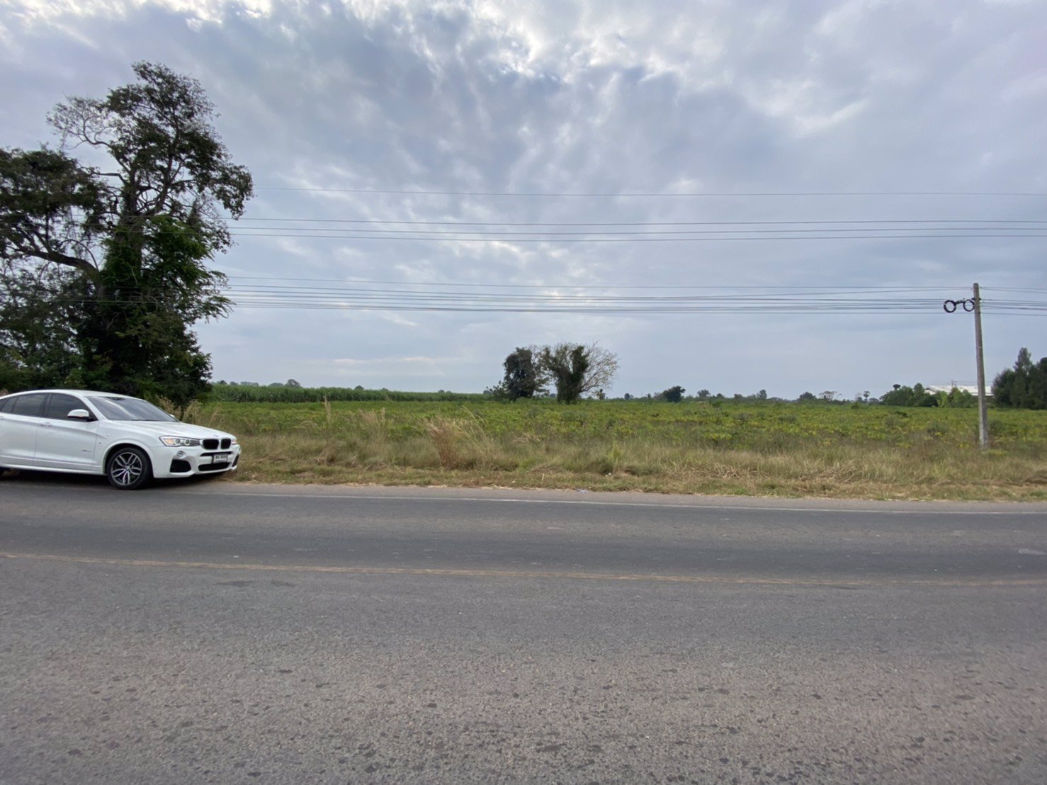 ขายที่ดิน-47ไร่-82-ตารางวา-วัดจริงเกือบ-50ไร่-ติดถนนลาดยาง157เมตร-ไฟฟ้าสามเฟสผ่าน-การคมนาคมสะดวก