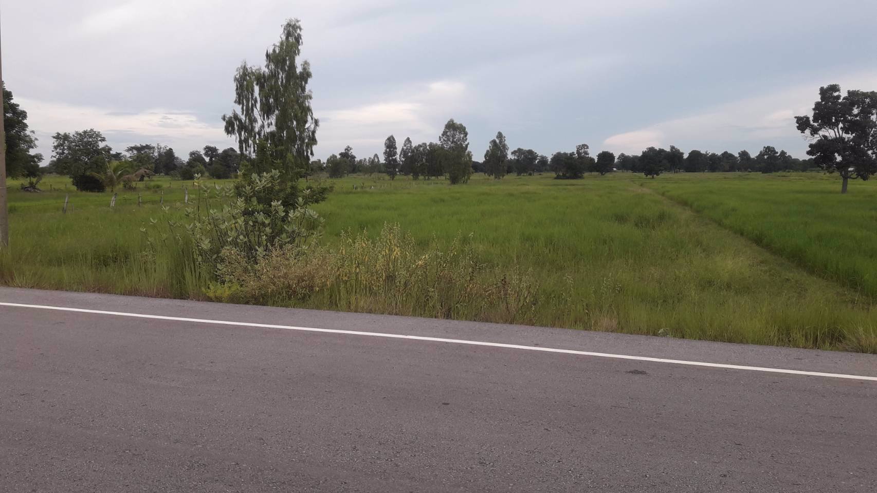 ขายที่ดิน-2-แปลง-5-ไร่-หน้ากว้าง-28-เมตร-และ-6-ไร่-หน้ากว้าง-32-เมตร-ถูกสุดๆ-เจ้าของขายเอง