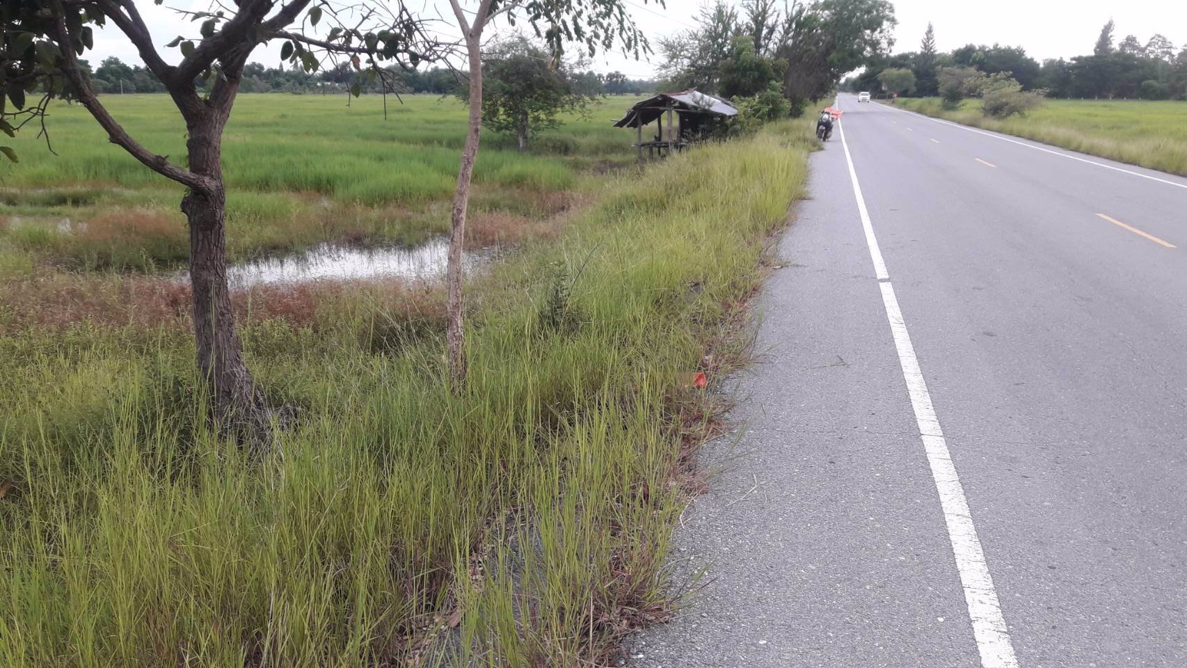 ขายที่ดิน-2-แปลง-5-ไร่-หน้ากว้าง-28-เมตร-และ-6-ไร่-หน้ากว้าง-32-เมตร-ถูกสุดๆ-เจ้าของขายเอง