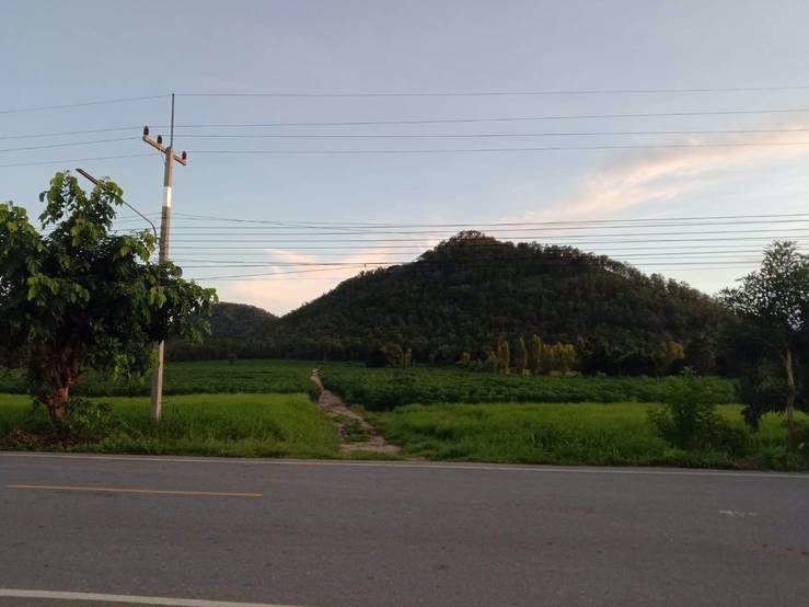 ขายที่ดิน-เนื้อที่-35-ไร่-33-ตารางวา-ที่ดินอยู่ติดถนนลาดยาง-อยู่ในเขตชุมชุนหมู่บ้าน-อยู่ใกล้-ตลา