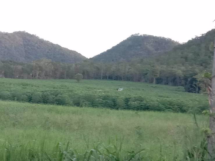 ขายที่ดิน-เนื้อที่-35-ไร่-33-ตารางวา-ที่ดินอยู่ติดถนนลาดยาง-อยู่ในเขตชุมชุนหมู่บ้าน-อยู่ใกล้-ตลา