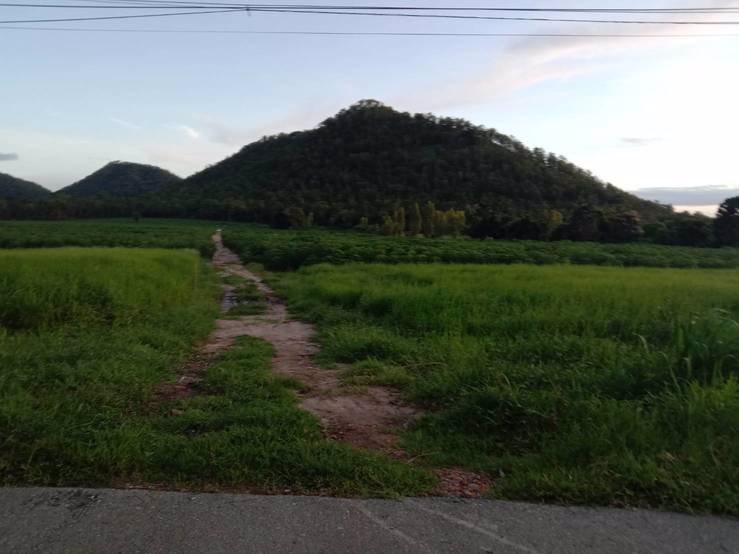 ขายที่ดิน-เนื้อที่-35-ไร่-33-ตารางวา-ที่ดินอยู่ติดถนนลาดยาง-อยู่ในเขตชุมชุนหมู่บ้าน-อยู่ใกล้-ตลา