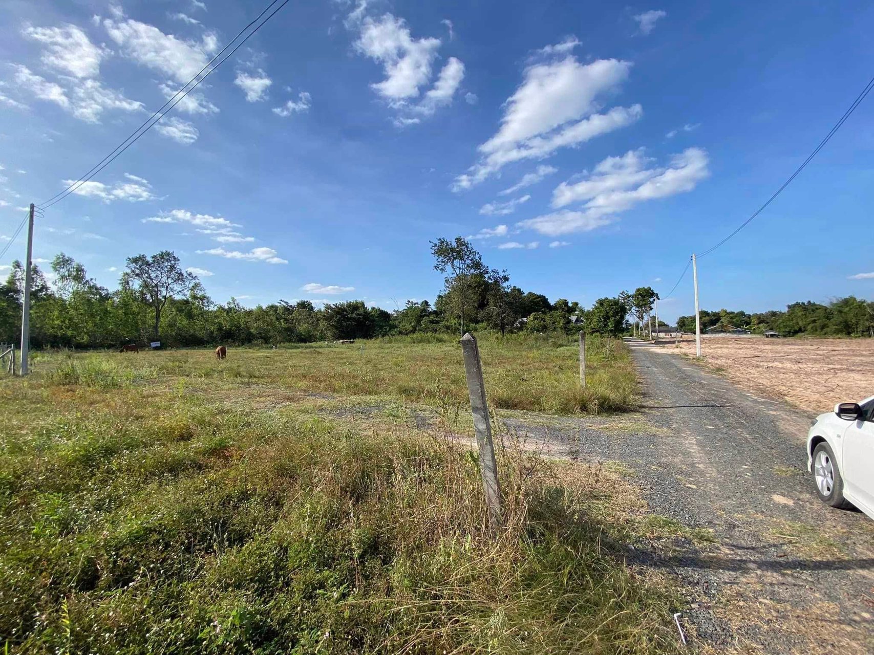 ที่ดินเปล่าใกล้เมืองอุบล-พร้อมให้คุณเป็นเจ้าของ