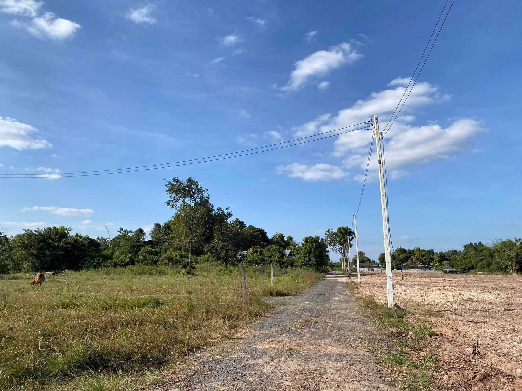 ที่ดินเปล่าใกล้เมืองอุบล-พร้อมให้คุณเป็นเจ้าของ