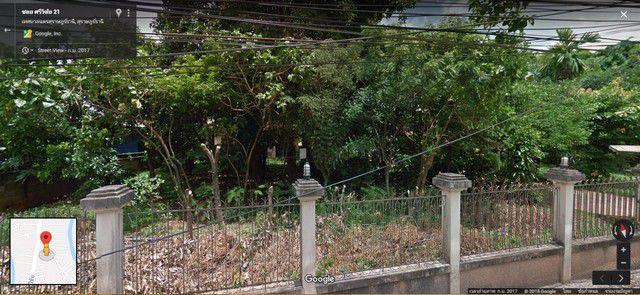 ขายที่ดินเปล่าพร้อมบ้าน-1-หลัง-ขนาด-365-ตรวซอยศรีวิชัย-21-เมืองสุราษฎร์ธานี-เข้าซอยเพียง-50-เมตร-ทำ