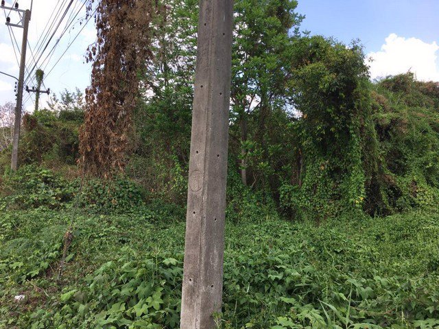 ขายที่ดินเปล่าขนาด-1-ไร่-ทำเลดีมาก-ใกล้อำเภอบ้านนาและถนนใหญ่แค่-50-เมตร-บ้านนา-นครนายก-ติดถนนสาธารณะ