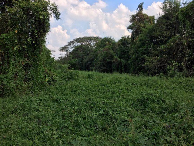 ขายที่ดินเปล่าขนาด-1-ไร่-ทำเลดีมาก-ใกล้อำเภอบ้านนาและถนนใหญ่แค่-50-เมตร-บ้านนา-นครนายก-ติดถนนสาธารณะ