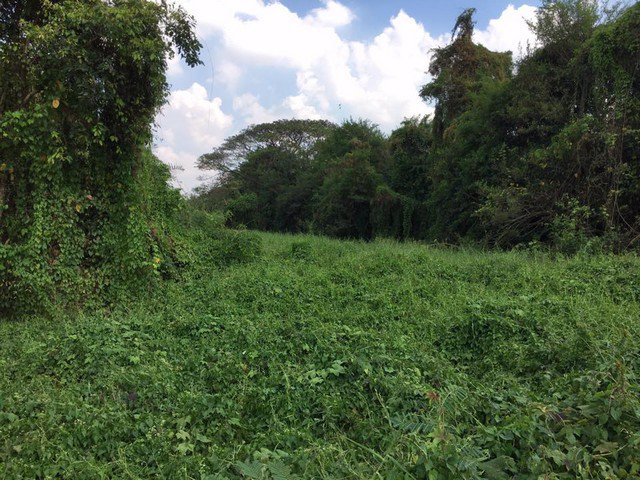 ขายที่ดินเปล่าขนาด-1-ไร่-ทำเลดีมาก-ใกล้อำเภอบ้านนาและถนนใหญ่แค่-50-เมตร-บ้านนา-นครนายก-ติดถนนสาธารณะ