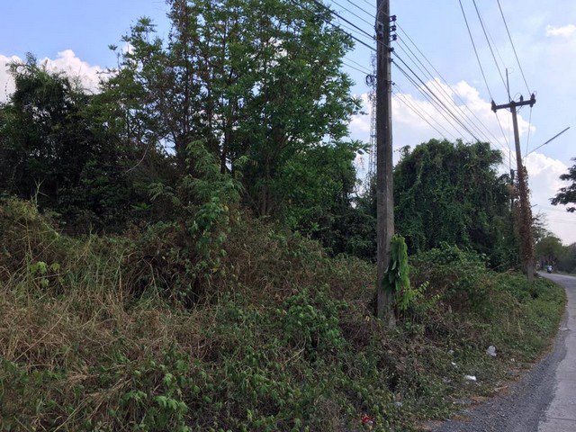 ขายที่ดินเปล่าขนาด-1-ไร่-ทำเลดีมาก-ใกล้อำเภอบ้านนาและถนนใหญ่แค่-50-เมตร-บ้านนา-นครนายก-ติดถนนสาธารณะ