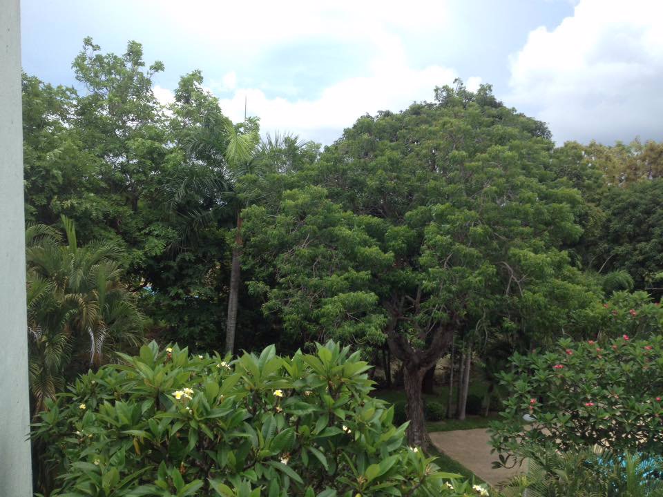 ขายคอนโดพร้อมอยู่-บางเสร่คอนโดมิเนียม-ติดทะเลหาดส่วนตัว-ดีสุดๆ-2-นอน-2-น้ำ-150ตรม-ตกแต่งดีไซน์-สวย