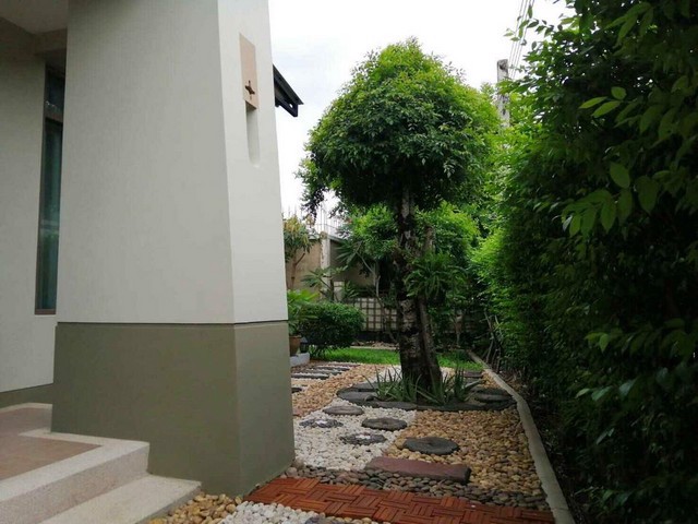 ขายบ้านเดี่ยวโครงการ-เศรษฐสิริ-บางนา-วงแหวน-บ้านเดี่ยว-2-ชั้น-เนื้อที่-805-ตารางวา-พื้นที่ใช้สอย-32