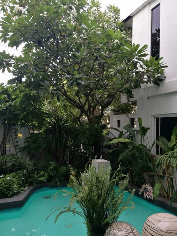 ขายบ้าน-หมู่บ้านวังทองเฮาส์-ซ-นวมินทร์-57-เนื้อที่-75-ตารางวา-3-ห้องนอน-5-ห้องน้ำ-สำนักงาน-พื้นที่