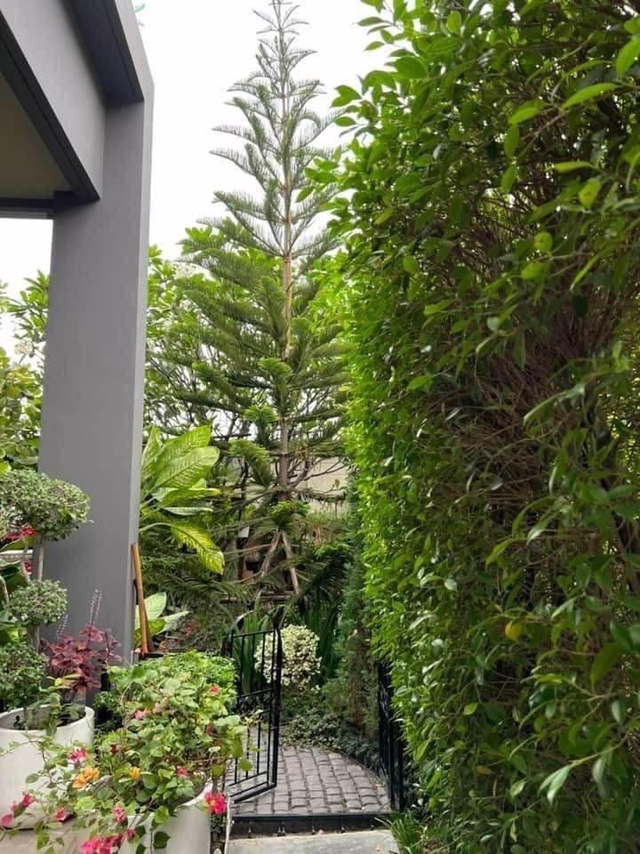 ขายบ้านเดี่ยว-2-ชั้น-บางกอก-บูเลอวาร์ด-สาทร-ปิ่นเกล้า-2-bangkok-boulevard-sathorn-pinklao2-4-ห้องน