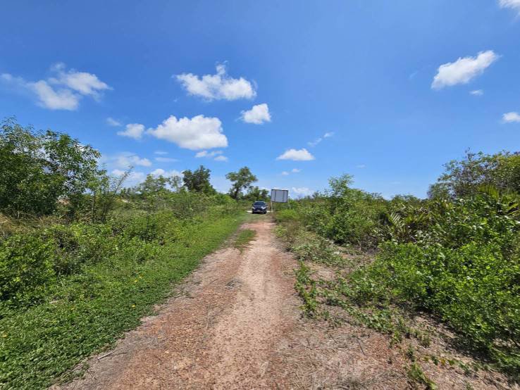 ที่ดินถมแล้ว-ทำเลดี-ติดถนนบ้านไร่-ปากน้ำประแส-อำเภอแกลง-ระยอง