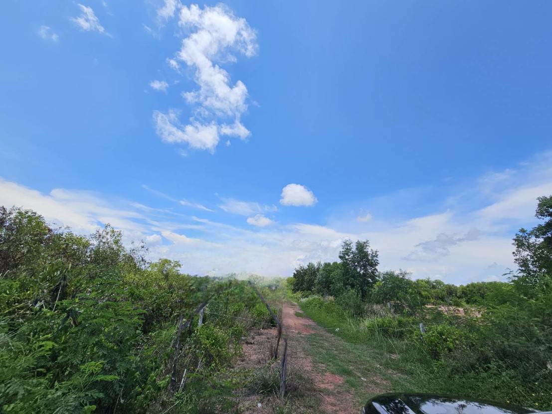 ที่ดินถมแล้ว-ทำเลดี-ติดถนนบ้านไร่-ปากน้ำประแส-อำเภอแกลง-ระยอง