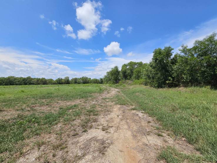 ที่ดินถมแล้ว-ทำเลดี-ติดถนนบ้านไร่-ปากน้ำประแส-อำเภอแกลง-ระยอง