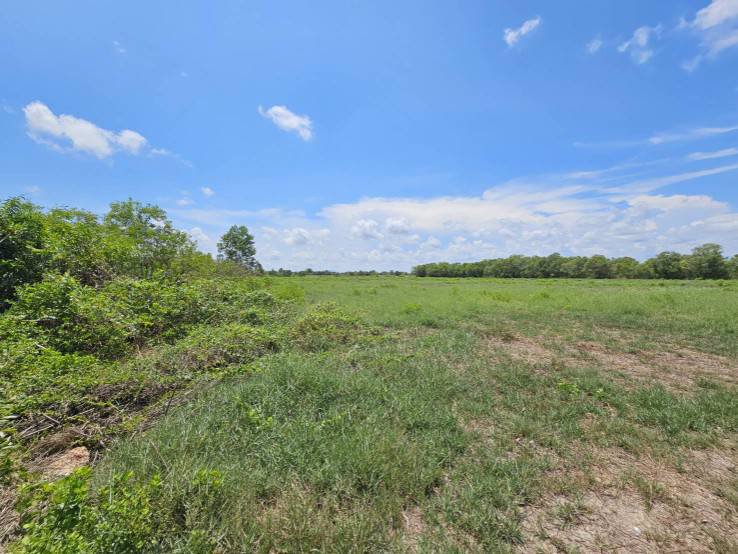 ที่ดินถมแล้ว-ทำเลดี-ติดถนนบ้านไร่-ปากน้ำประแส-อำเภอแกลง-ระยอง