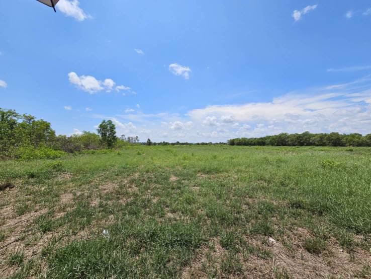 ที่ดินถมแล้ว-ทำเลดี-ติดถนนบ้านไร่-ปากน้ำประแส-อำเภอแกลง-ระยอง