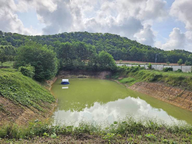 ขายสวนทุเรียน-38-ไร่-ติดถนนสาธารณะ-นายายอาม-จันทบุรี