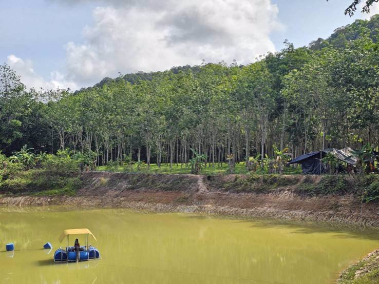 ขายสวนทุเรียน-38-ไร่-ติดถนนสาธารณะ-นายายอาม-จันทบุรี