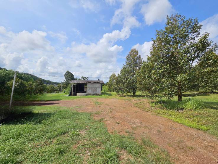 ขายสวนทุเรียน-38-ไร่-ติดถนนสาธารณะ-นายายอาม-จันทบุรี