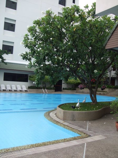 บ้านวัลย์ผกา-อพาร์ทเม้นท์ให้เช่า-ห้องกว้าง-อาคารโปร่ง-สวนสงบ