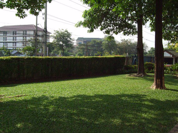 บ้านวัลย์ผกา-อพาร์ทเม้นท์ให้เช่า-ห้องกว้าง-อาคารโปร่ง-สวนสงบ