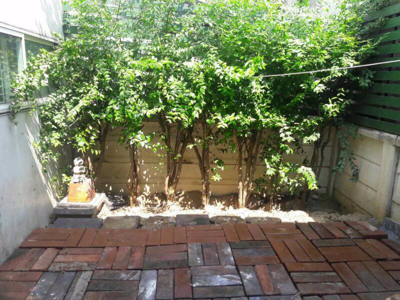 hr103-ให้เช่าทาวเฮ้าส์เดอะคัลเลอร์อารียา-ปากเกร็ด-3-ห้องนอน-2-ห้องน้ำ-เดินทางสะดวกติดถนนใหญ่