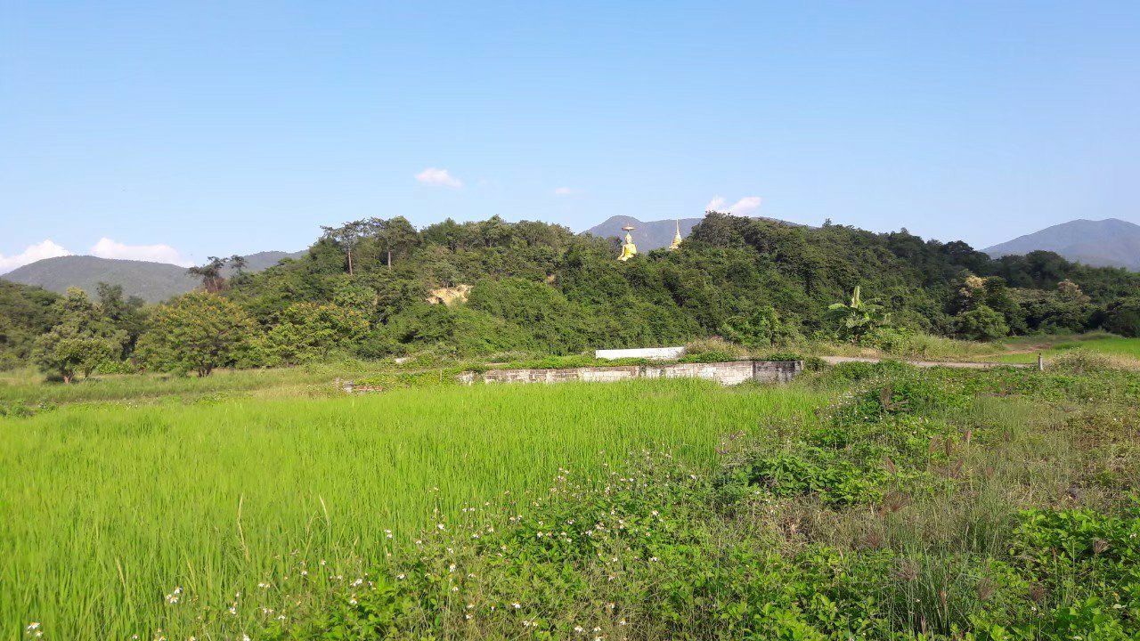 ขายที่ดิน-พื้นที่-8-2-57-ตรว-ราคา-7900000-บาท-พร้อมโอน-พิกัด-อำเภอบ้านโฮ่ง-จังหวัดลำพูน-ติดกับทาง