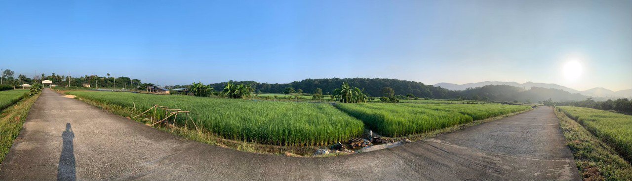 ขายที่ดิน-พื้นที่-8-2-57-ตรว-ราคา-7900000-บาท-พร้อมโอน-พิกัด-อำเภอบ้านโฮ่ง-จังหวัดลำพูน-ติดกับทาง