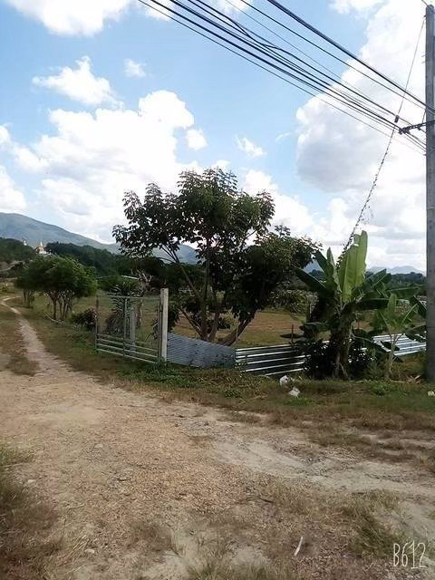 ขายที่ดิน-พื้นที่-8-2-57-ตรว-ราคา-7900000-บาท-พร้อมโอน-พิกัด-อำเภอบ้านโฮ่ง-จังหวัดลำพูน-ติดกับทาง