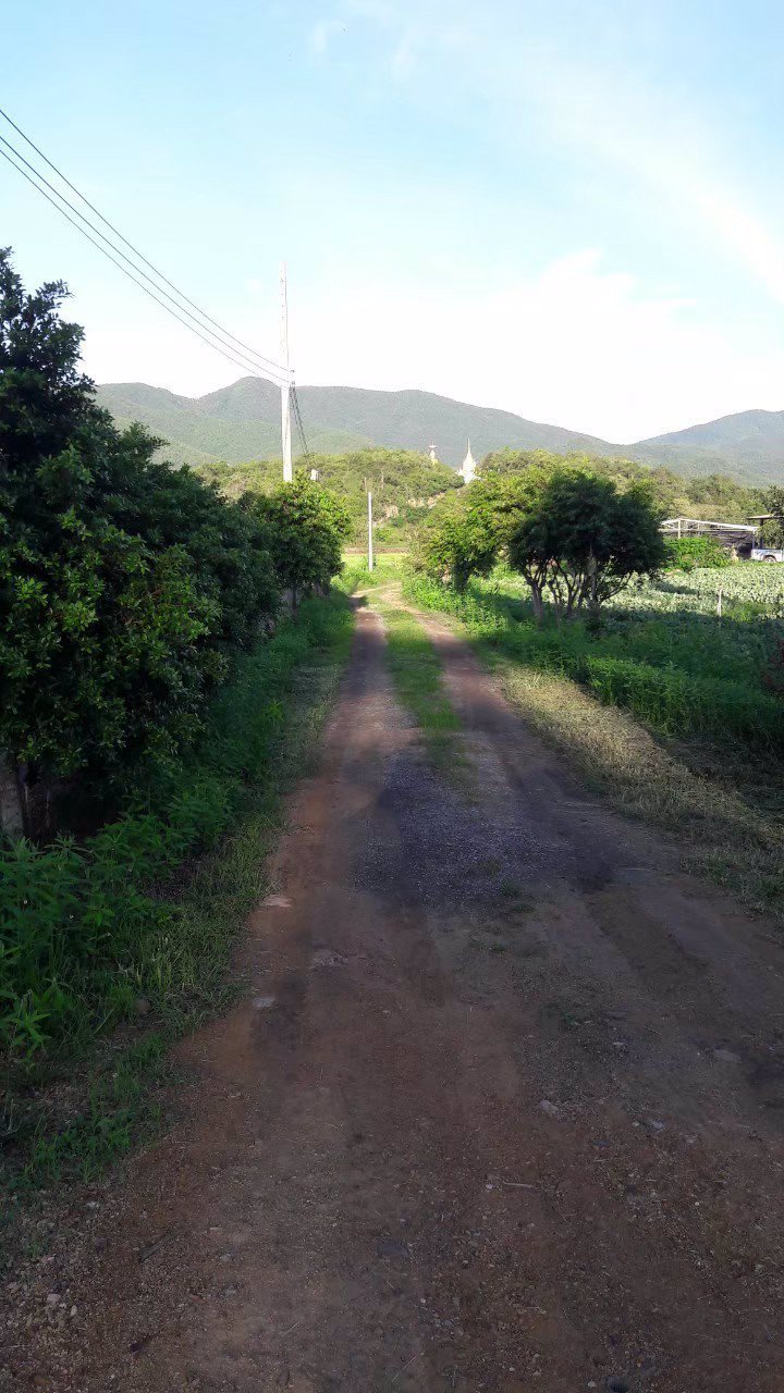 ขายที่ดิน-พื้นที่-8-2-57-ตรว-ราคา-7900000-บาท-พร้อมโอน-พิกัด-อำเภอบ้านโฮ่ง-จังหวัดลำพูน-ติดกับทาง